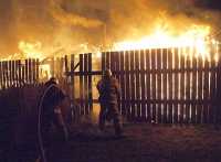 В Хакасии в пожаре погибли 1204 свиньи