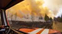 Костёр стал причиной сильного лесного пожара в Хакасии