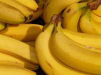 Ученые нашли самый радиоактивный фрукт