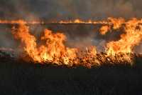 Степь горит в Хакасии: дым окутал несколько деревень