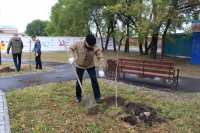 Возле Абаканского пансионата ветеранов посадили деревья и кустарники