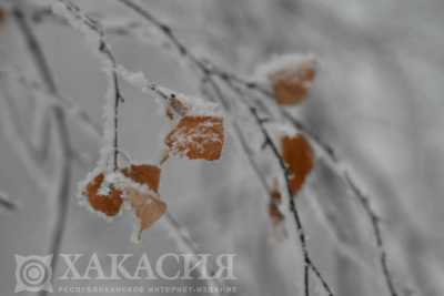В Хакасии ожидаются ветер, снег и сильный гололёд