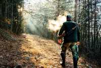 В Хакасии охотника оштрафовали за проданную косулю