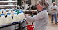 В Хакасии обсудили, как поддержать молочную отрасль