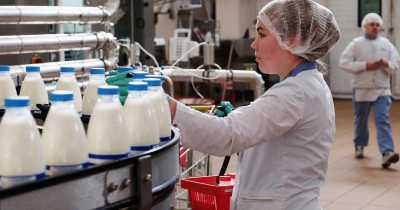 В Хакасии обсудили, как поддержать молочную отрасль