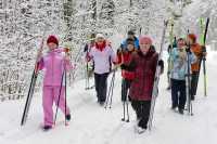 &quot;Серебряная лыжня&quot;: фестиваль по лыжным гонкам стартует в Хакасии