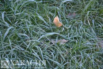 Экстренное предупреждение: заморозки в Хакасии