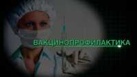 В Хакасию поступила бесплатная вакцина от клещевого энцефалита