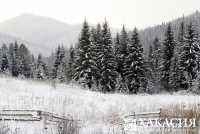 Погода в Хакасии: снег и ветер обещают синоптики