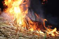 В Хакасии сгорело сено