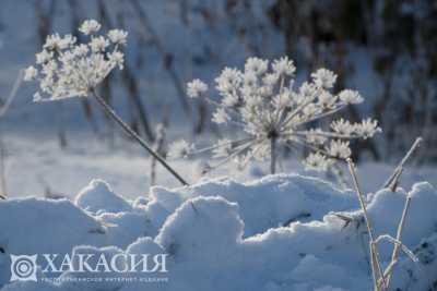 Температура воздуха в Хакасии опустится до -43 градусов