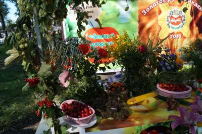 Выставка винограда и персиков откроется в Абакане