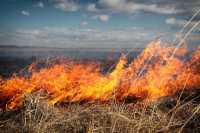 Степные пожары угрожают Хакасии