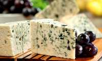 «Саянмолоко» собирается производить в Хакасии модный сыр