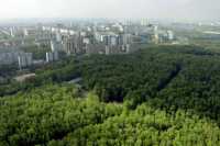 Хакасия защитит окружающую среду &quot;зелеными поясами&quot;