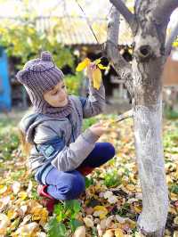 Специалисты рекомендуют белить деревья в конце октября, после того, как опадут последние листья, и пройдут сезонные дожди. Осенняя побелка бережёт штамб от повреждений, возникающих из-за температурных перепадов, а также препятствует образованию наледи на коре. 