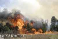 В районе Усть-Бюря тушили лесной пожар