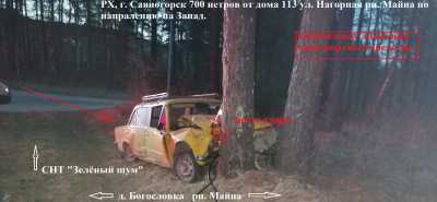 Смертельное ДТП в Саяногорске: водитель погиб, протаранив дерево