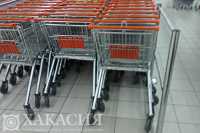 Житель Хакасии получил срок за незаконные покупки в магазинах