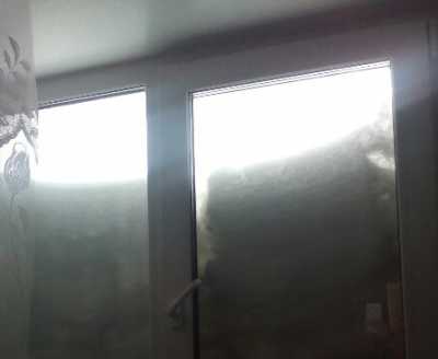 Белый плен: окна домов в селе Хакасии закрыло снегом