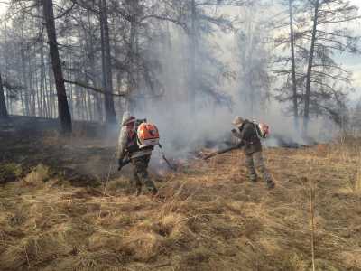 В Хакасии впервые в этом году горел лес