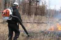 В Хакасии ищут виновницу страшного пожара в Смирновском бору