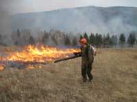 В Хакасии от огня пострадало уже 400 гектаров леса