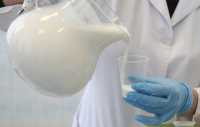 Половину молочной продукции для новосибирских школ и больниц признали фальсификатом