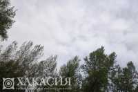 Сильный ветер испортит погоду в Хакасии