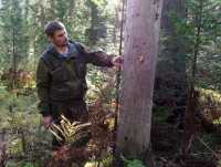 Эксперты из Красноярска и Томска обследуют дикую природу Таштыпского лесничества
