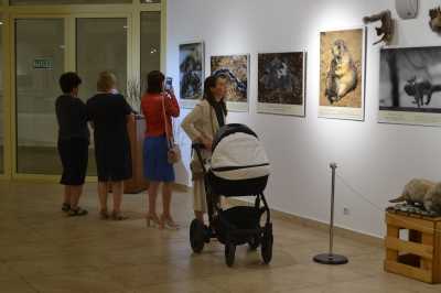 О материнстве в дикой природе на международной фотовыставке в Хакасии