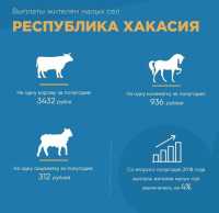 На субсидии для жителей малых сел Хакасии около 57 млн рублей