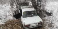 В Хакасии автоледи слетела в кювет и врезалась в дерево