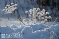 Жителей Хакасии декабрь-2020 снегом не побалует