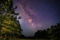 Млечный путь над хакасским лесом показал фотограф из Абакана