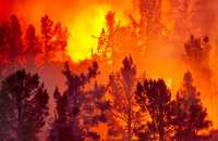 За выходные лес в Хакасии горел четыре раза