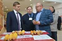 Андрей Горбунов, кандидат сельскохозяйственных наук из Москвы, рассказывает Валентину Коновалову о преимуществах селекционной кукурузы.
