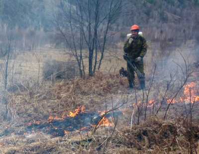 В Боградском лесничестве горел лес