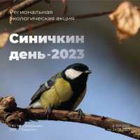 Акция &quot;Синичкин день&quot; в Хакасии поможет зимующим птицам