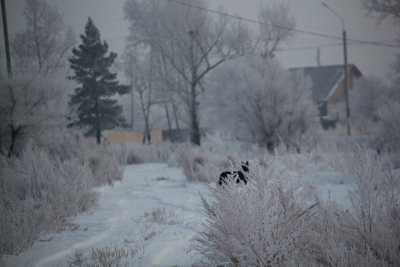 «Циклончик пошалит и будет морозец»: синоптик о погоде в Хакасии