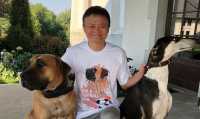 Основатель Alibaba поддержал приюты для бездомных животных «ПовоДОГ»
