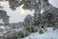 Известный фотограф Хакасии запечатлел зимнюю сказку