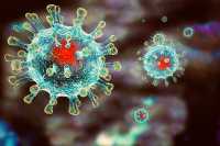 В Абакане второй случай заболевания коронавирусом