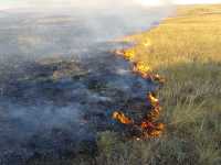 В Хакасии земельные инспекторы озабочены пожарной безопасностью
