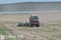 В Хакасии увеличились сборы зерновых и зернобобовых культур