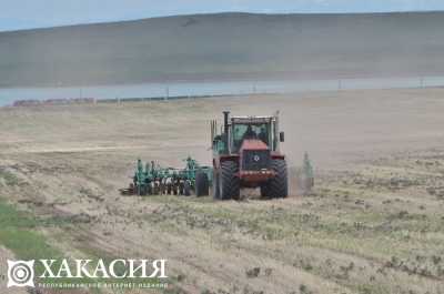 В Хакасии увеличились сборы зерновых и зернобобовых культур