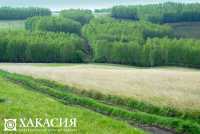 Власти озвучили планы по развитию двух районов Хакасии