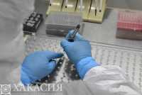 Количество заболевших в Хакасии за сутки - меньше тысячи