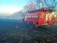 В минувшую субботу пожарные 22 раза выезжали на тушение палов травы. 