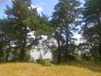Озеро и сосновый бор - отдых на территории памятника природы